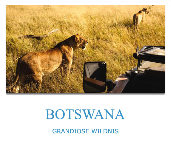 Botswana, Privatreisen, Private Safaris, Individuell, Luxusreisen, Lodges, Camps, Anbieter, buchen, Scout Reisen