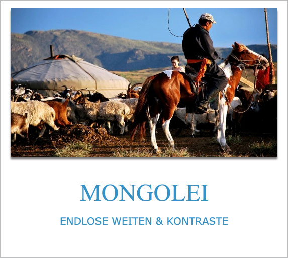 Mongolei, Privatreisen, Individualreisen, Rundreisen, Angebote, Anbieter, Scout Reisen, Buchen, Radreisen, sicher, nachhaltig