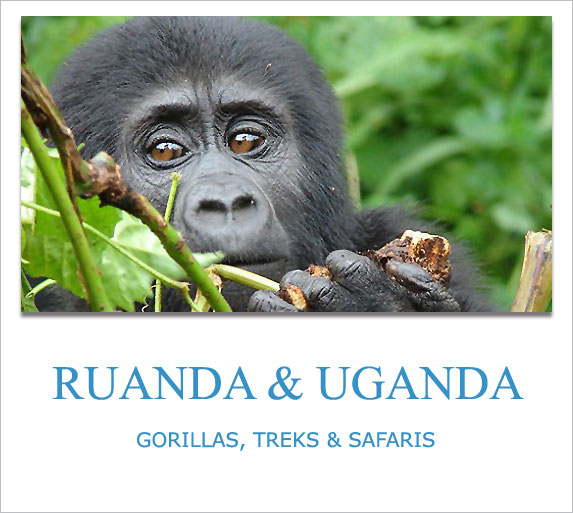 Ruanda, Uganda, Privatreisen, Private Safaris, Individuell, Lodges, Camps, Anbieter, Gorilla Trekking, buchen, Scout Reisen
