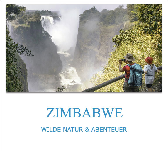 Simbabwe, Privatreisen, Private Safaris, Individuell, Luxusreisen, Lodges, Camps, Anbieter, buchen, Scout Reisen